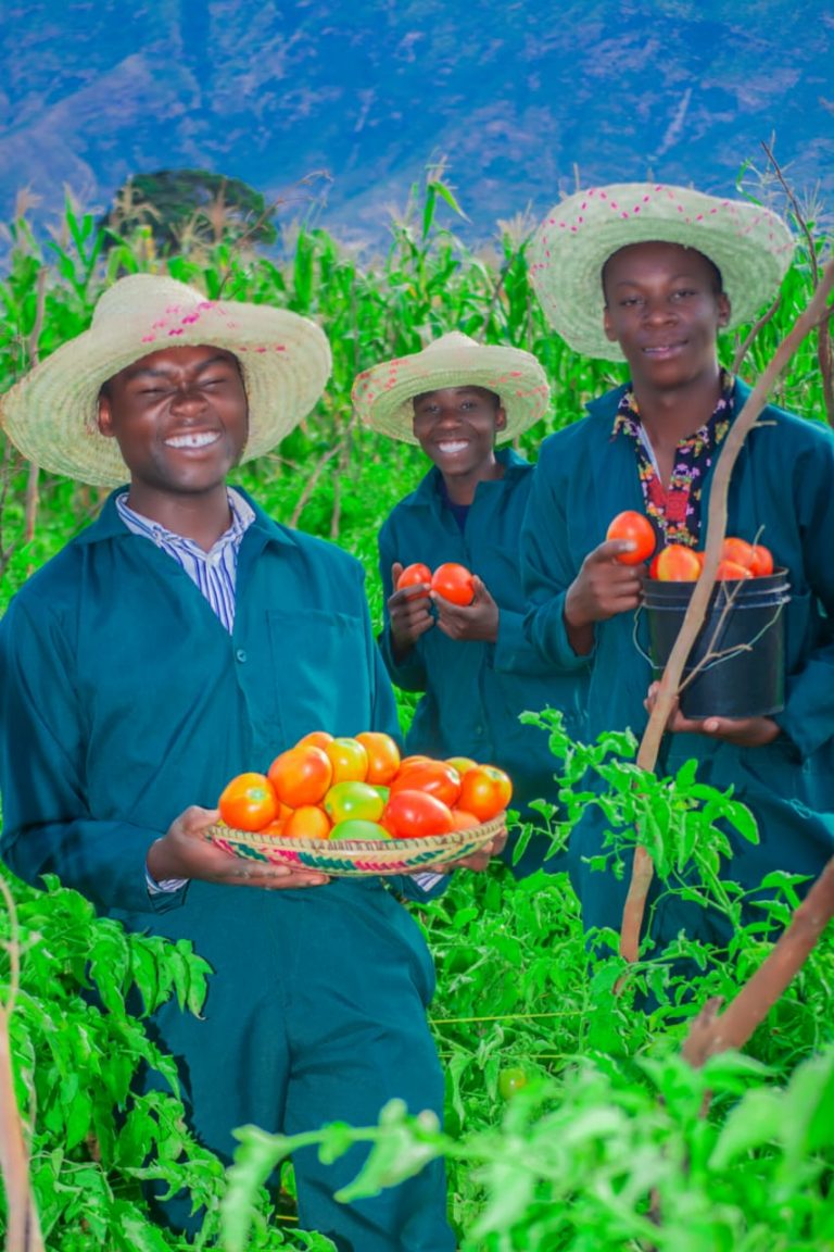 Bachelor of Crop Production and Management