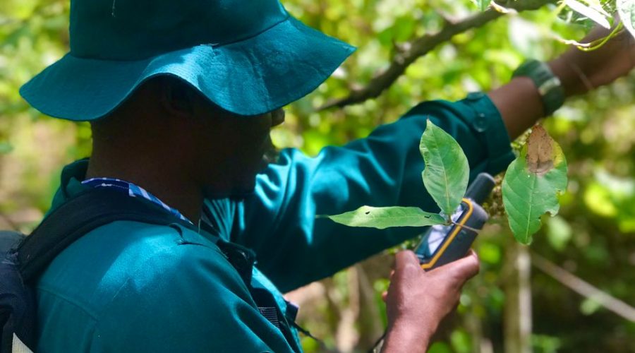 BSc. Environmental Science and Management SUA